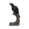 Ravenâ€™s Caw 26.8cm