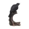 Ravenâ€™s Caw 26.8cm