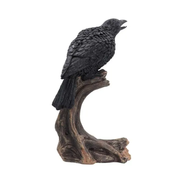 Ravenâ€™s Caw 26.8cm