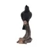 Ravenâ€™s Caw 26.8cm