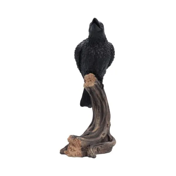 Ravenâ€™s Caw 26.8cm
