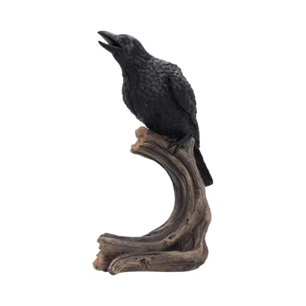 Ravenâ€™s Caw 26.8cm