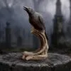 Ravenâ€™s Caw 26.8cm