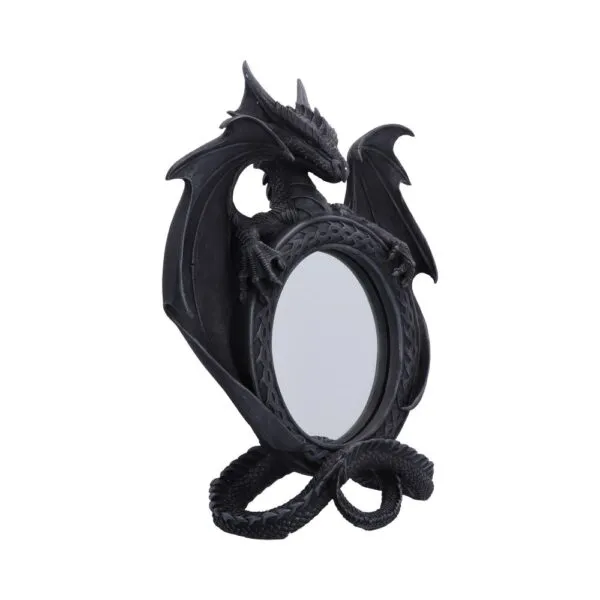 Darkwing Reflection 37.3cm