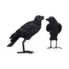 Watchful Pair (Set of 2) 13.9cm