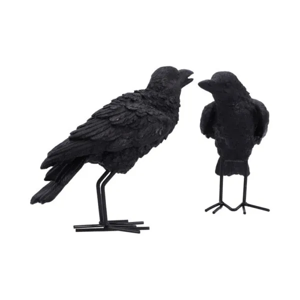 Watchful Pair (Set of 2) 13.9cm