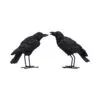 Watchful Pair (Set of 2) 13.9cm