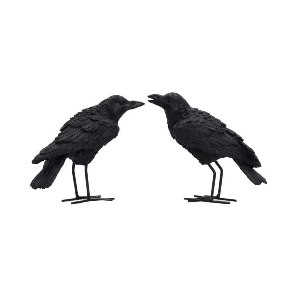 Watchful Pair (Set of 2) 13.9cm