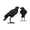 Watchful Pair (Set of 2) 13.9cm