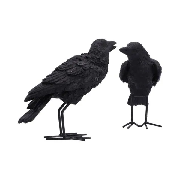 Watchful Pair (Set of 2) 13.9cm