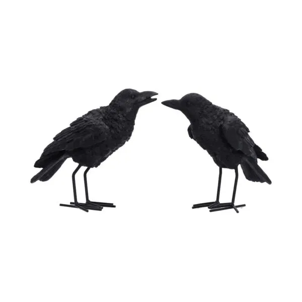 Watchful Pair (Set of 2) 13.9cm