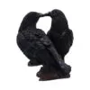 d7908c26.webp Midnight Kiss 13.9cm