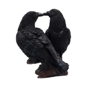 Midnight Kiss 13.9cm