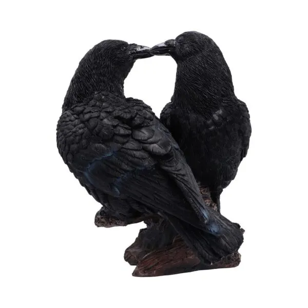 d7908c26.webp Midnight Kiss 13.9cm