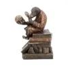 Darwinism of Evolutionary Theory  17.5cm