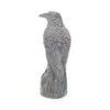 Ravens Rest 16cm