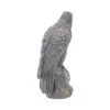 Ravens Rest 16cm