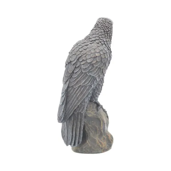 Ravens Rest 16cm