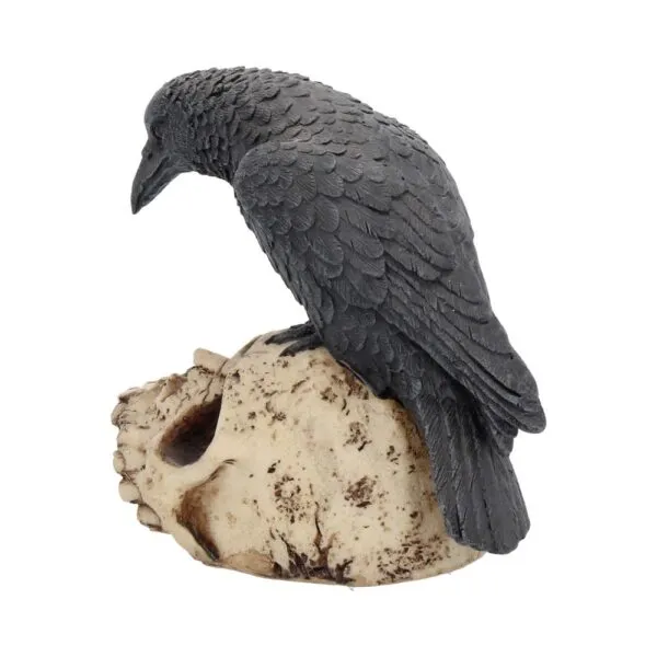 Ravens Remains 13cm