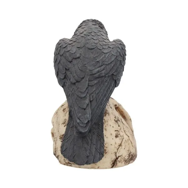 Ravens Remains 13cm