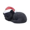 s7676b26-1.webp Merry Whiskers