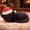 s7676b26-7.webp Merry Whiskers