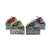 Dragon Safehold 8.4cm (Set of4)