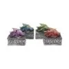 Dragon Safehold 8.4cm (Set of4)