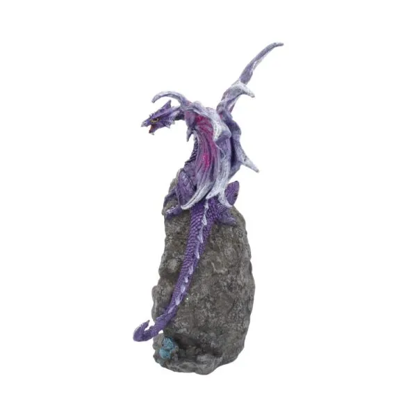 u4498n9-1.webp Amethyst Custodian 22cm