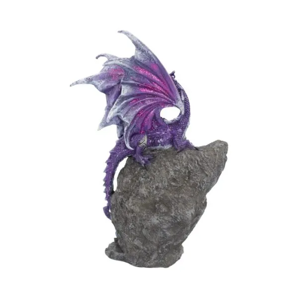 u4498n9-2.webp Amethyst Custodian 22cm
