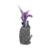 u4498n9-3.webp Amethyst Custodian 22cm