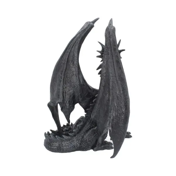 u4530n9-2.webp Black Wing 37cm