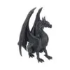 u4530n9-3.webp Black Wing 37cm