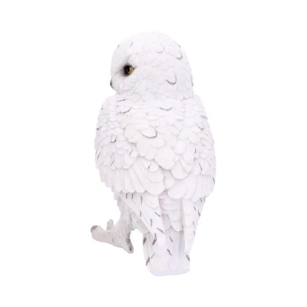 u4772p9-1.webp Snowy Watch Large 20cm