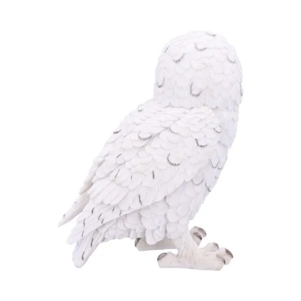 u4772p9-2.webp Snowy Watch Large 20cm