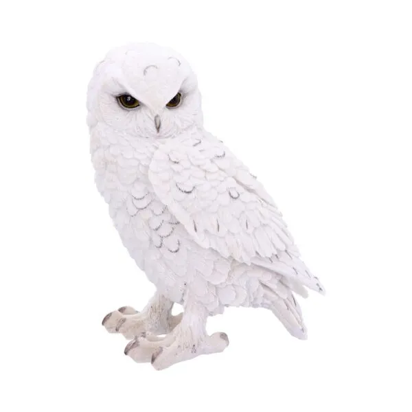 u4772p9.webp Snowy Watch Large 20cm