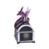 u4800p9-1.webp Reptilian Riches 15cm