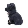 u4932r0-1.webp Reapers Canine 17cm