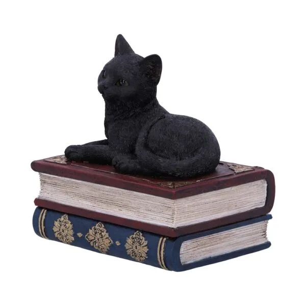 u5456t1-1.webp Salems Spells 11.7cm