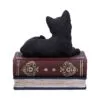 u5456t1-3.webp Salems Spells 11.7cm