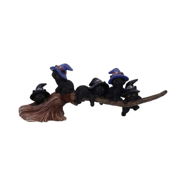 u5485t1.webp Purrfect Broomstick 27.5cm