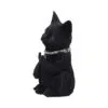 u5551t1-1.webp Cattitude 16.5cm