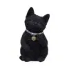 u5551t1.webp Cattitude 16.5cm