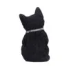 u5551t1-2.webp Cattitude 16.5cm
