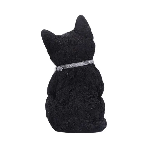 u5551t1-2.webp Cattitude 16.5cm