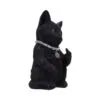 u5551t1-3.webp Cattitude 16.5cm