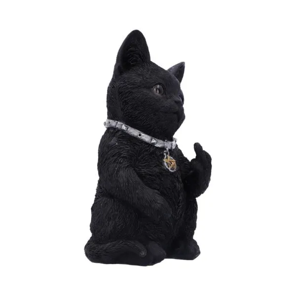u5551t1-3.webp Cattitude 16.5cm