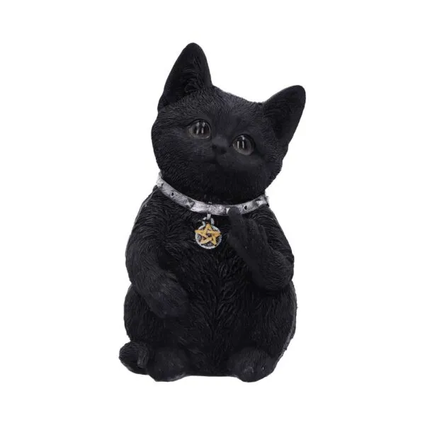 u5551t1.webp Cattitude 16.5cm