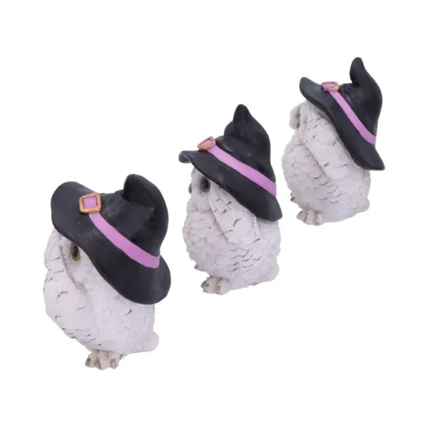 u5736u1-1.webp Three Wise Feathered Familiars 9cm