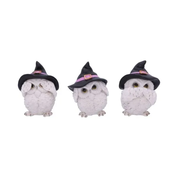 u5736u1.webp Three Wise Feathered Familiars 9cm